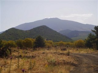 nte Egitto-28-11-2020 20